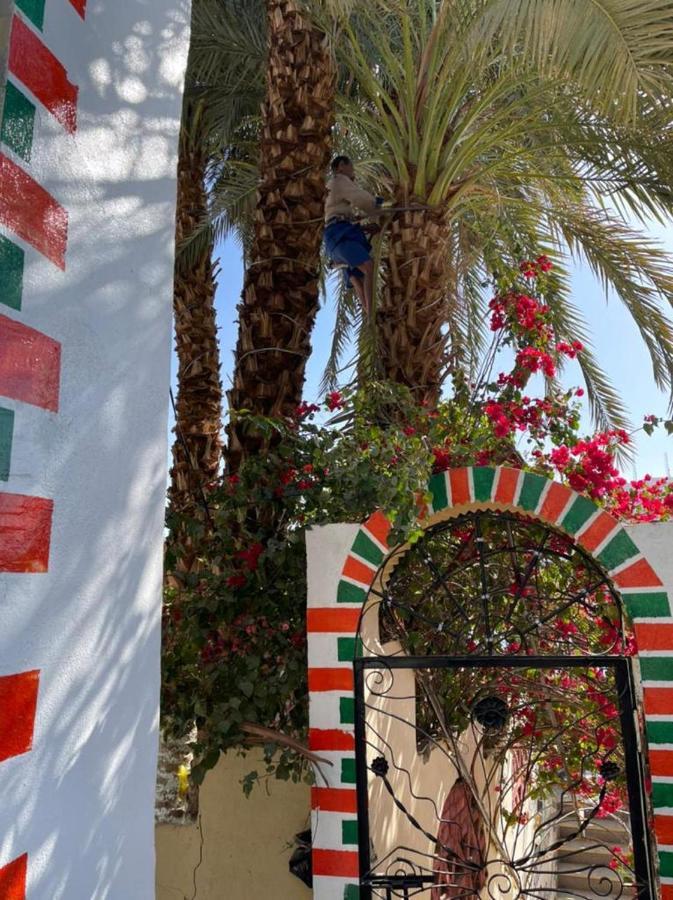 Nubian Dreams Guest House Aswan Exterior foto